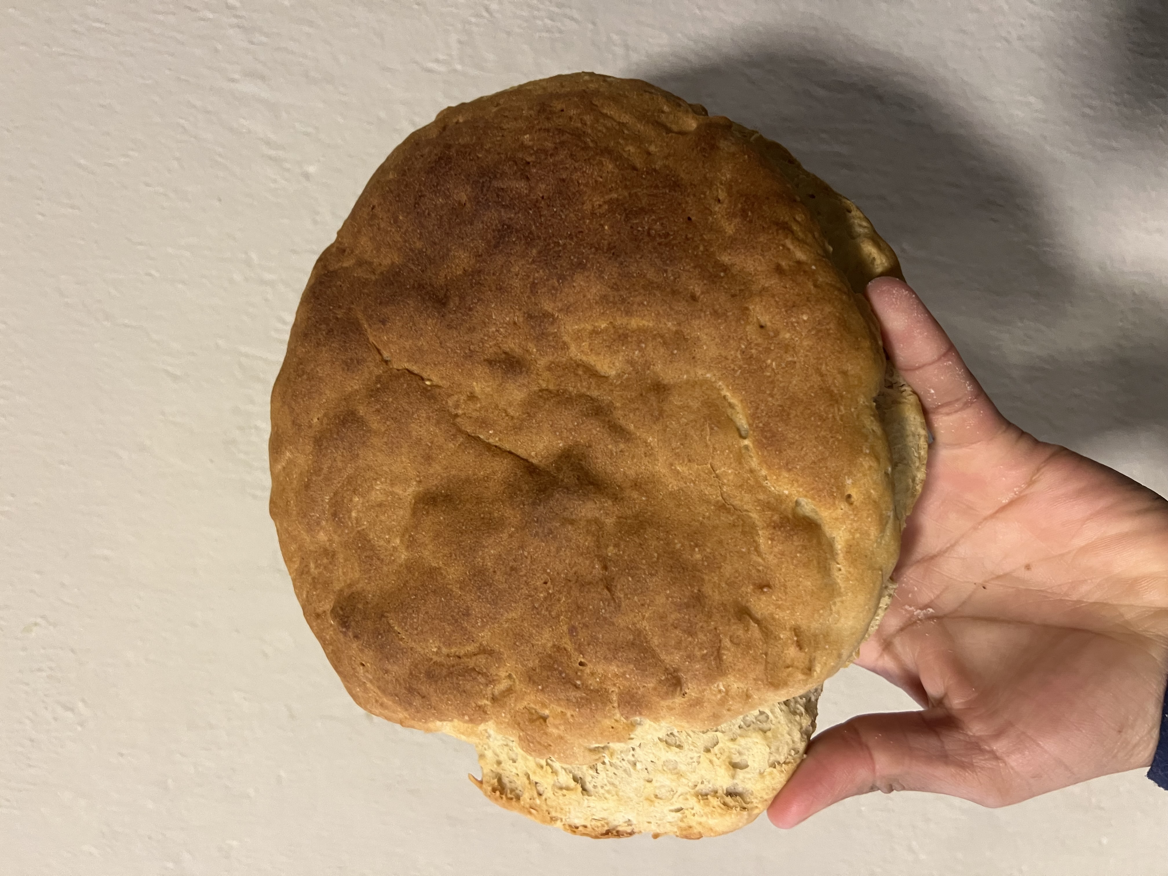 Pan de campo