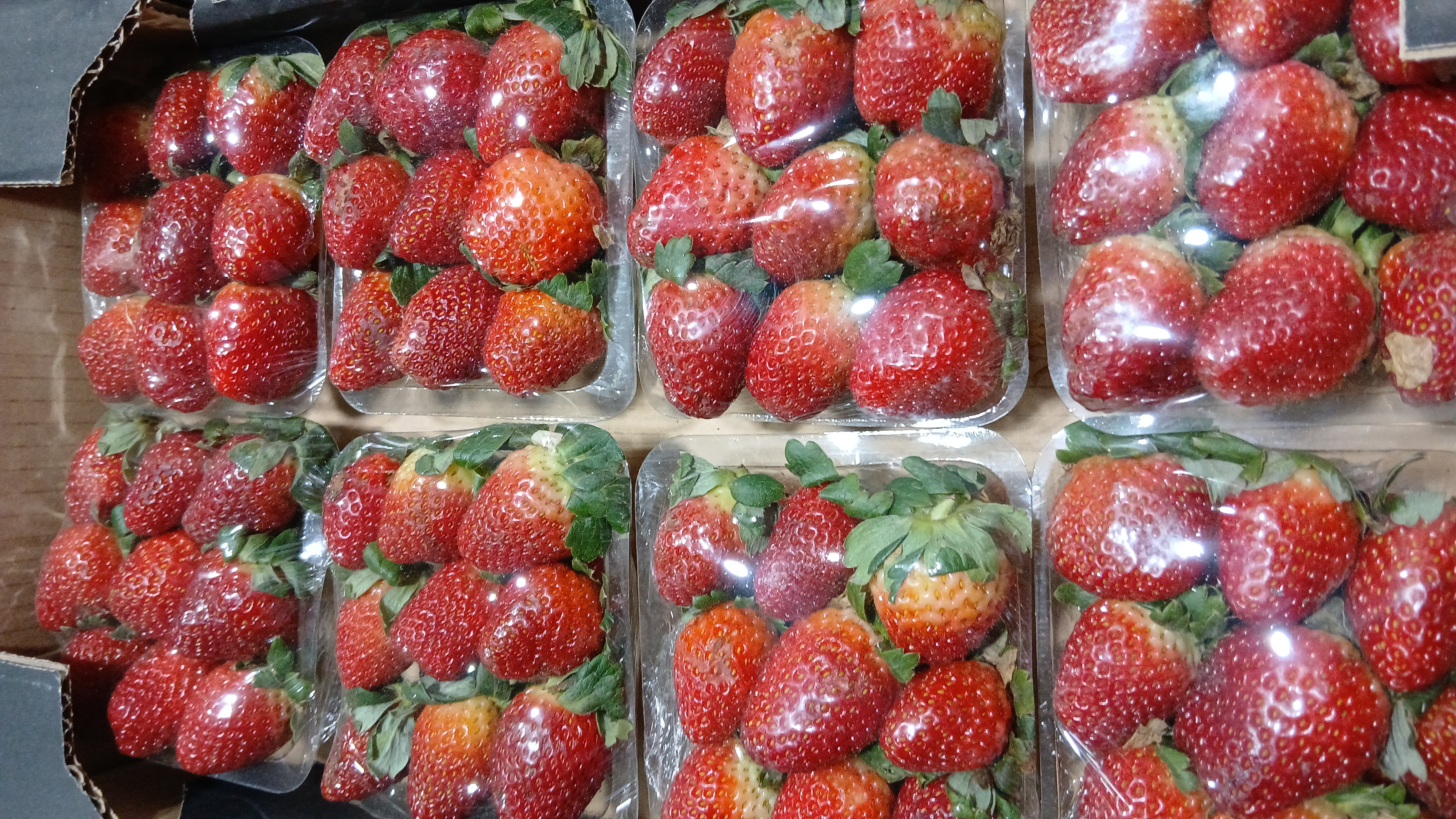 Frutillas 🍓 - foto 1
